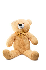 Big Bear soft toy isolated