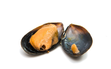 group of boiled mussels in shells