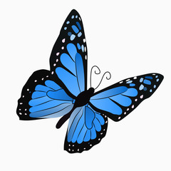 illustration of a colorful butterfly