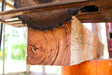 Man using an electric circular saw cutting wood. 