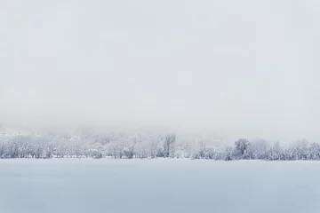 Photo sur Plexiglas Hiver Trees and snow