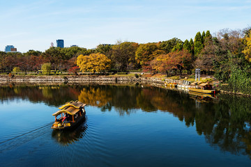 Wooden Travel boat sailing around Osaka castle with autumn foliage color, Japan