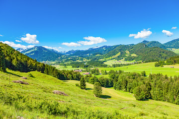 Fototapeta na wymiar landscape in oberallgau (bavaria - germany)