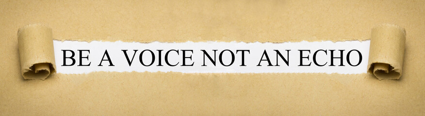 Be a Voice not an Echo