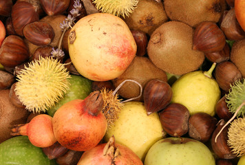 chestnuts kiwi and pomegranates autumnal background