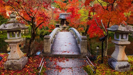 Tuinposter Eikando in de herfst, Kyoto © Blanscape