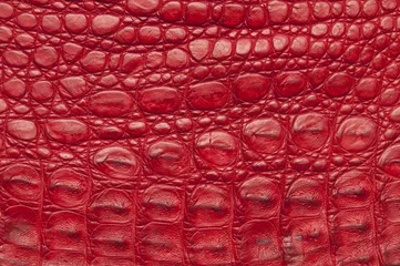 Papier Peint photo Lavable Crocodile Texture de cuir de crocodile rouge.