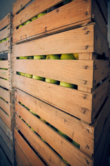 Cassette di mele, scorta in magazzino