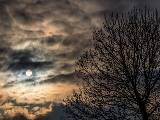 Sonne hinter Wolken und Baum