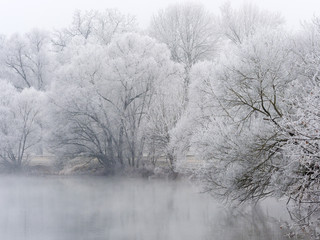 Landschaft mit Bäumen und Raureif bei Kälte im Winter