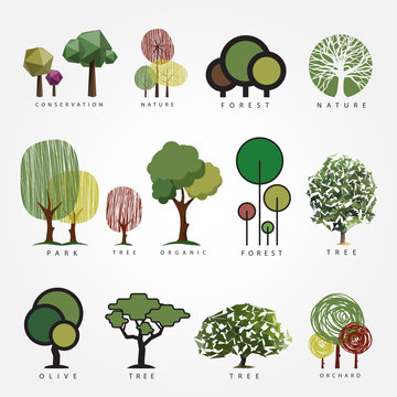 Set of vector tree illustration. Geometric, stylized, hand drawn and polygonal style tree illustrations. Tree label, logo, icon, nature, eco, green, organic, outdoors design.