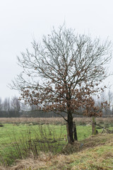 Obraz premium In der Umgebung des Aussichtsturms 