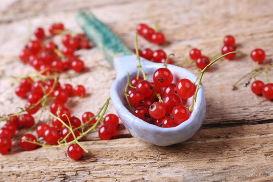 Red currant berries on the wooden table