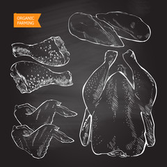 chicken meat vector © mozart3737