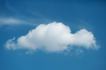 Beautiful single white on blue sky