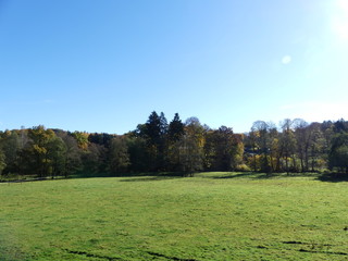 paysage fôret ardenne belge