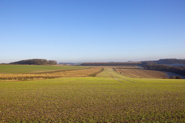 Fototapeta na wymiar agricultural landscape in winter