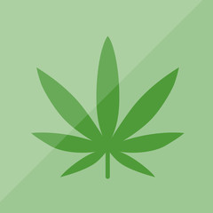 Hanf - Cannabis - Pflanze