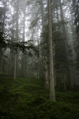 Fototapeta premium charming austria