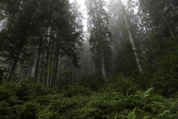 Obraz premium charming austria