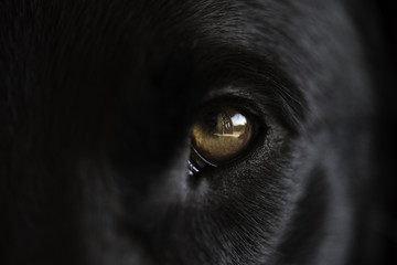 Dont look to the eyes of a stranger