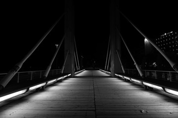 bringde in the night
