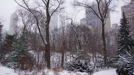 Fototapeta na wymiar view from winter Central Park on Manhattan