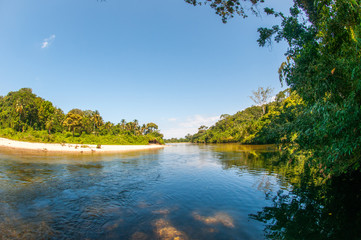 rio palomino