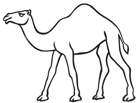 camel black outline