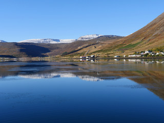 Fototapeta premium Ísafjörður am Skutulsfjörður in den Westfjorden von Island