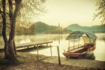 Vintage Lake with Island in Mountains