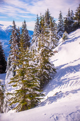 Mountain ski resort, Romania,Transylvania, Brasov, Poiana Brasov