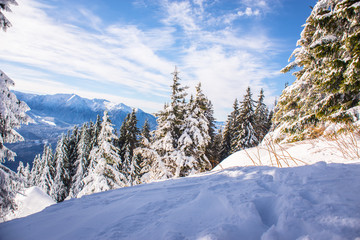Fototapeta premium Mountain ski resort, Romania,Transylvania, Brasov, Poiana Brasov
