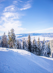 Mountain ski resort, Romania,Transylvania, Brasov, Poiana Brasov