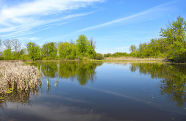 Scenic summer landscape with perfect reflections