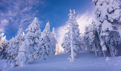 Mountain ski resort, Romania,Transylvania, Brasov, Poiana Brasov