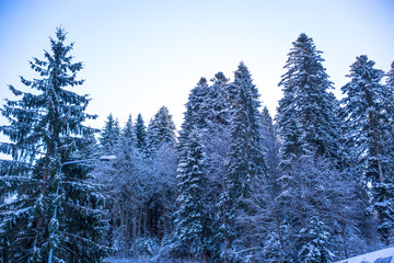 Mountain ski resort, Romania,Transylvania, Brasov, Poiana Brasov
