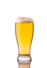 light cold beer in frosty glass isolated on white
