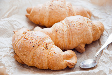 Fresh french croissants