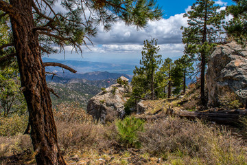 The Catalina Highway and Mt. Lemmon Arizona