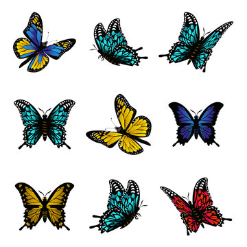 Butterfly of colorful icon set vector illustration.