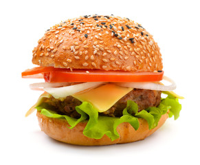 Single fresh hot cheeseburger
