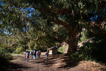 Fototapeta premium Hikers on Santa Cruz Island