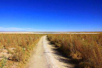 Nature landscape.The way to lagoon in the Atacama Desert, San Pedro de Atacama