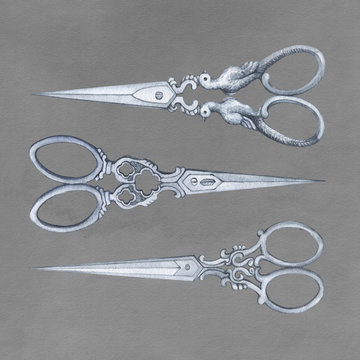 Antique scissors - vintage accessory. Hand-drawn watercolor on gray background old paper. Poster.
