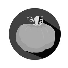 pumpkin vegetable icon image vector illustration design 