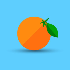 Orange fruit with shadow on blue background vector illustration