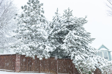 A view of SE Portland Oregon in Historic Snow storm in 2017