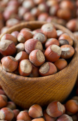 hazelnut background