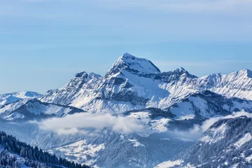 Fototapeten Winter Landscape © Provisualstock.com